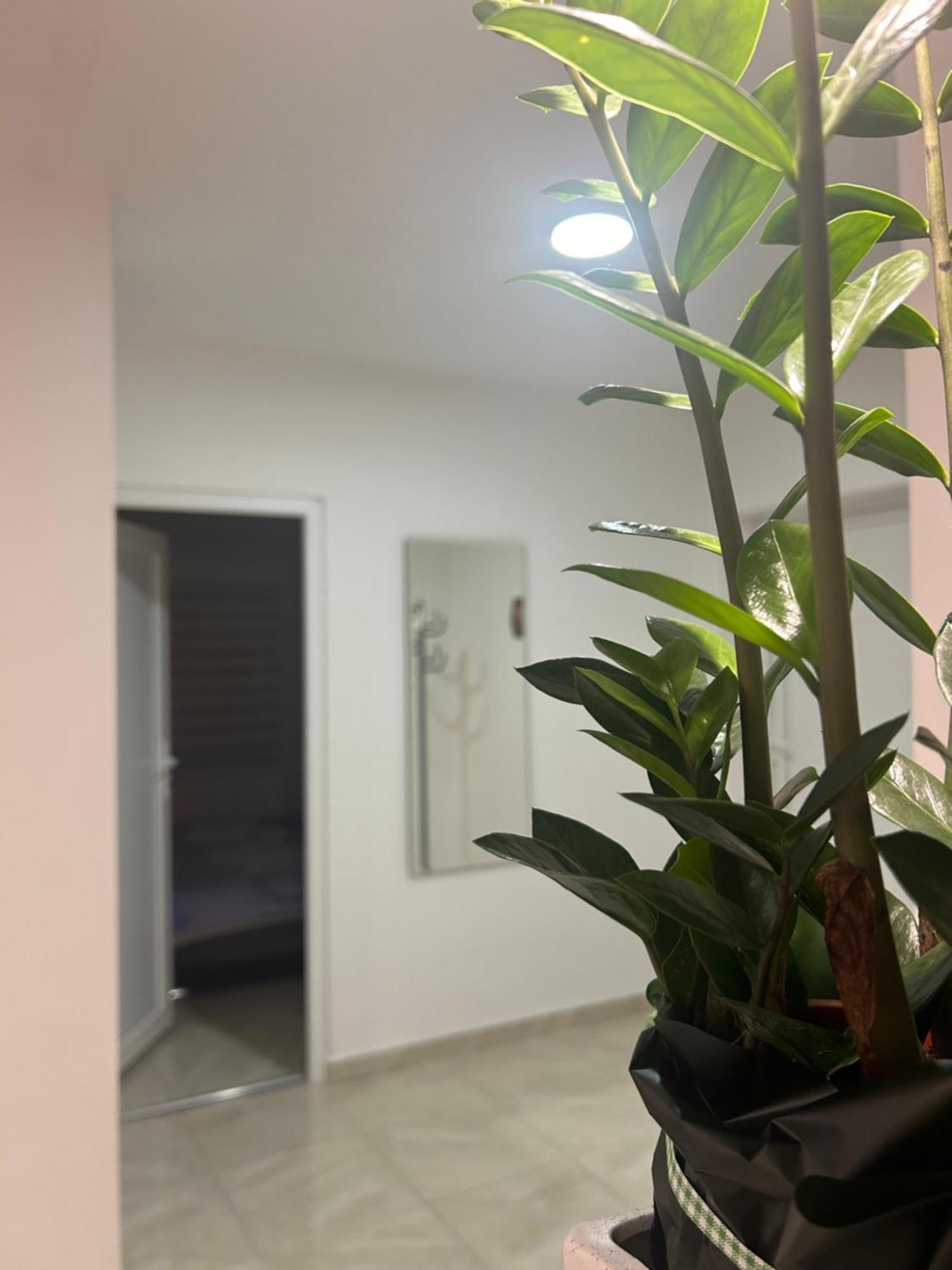 Apartman Diamond Lux Surcin Luaran gambar