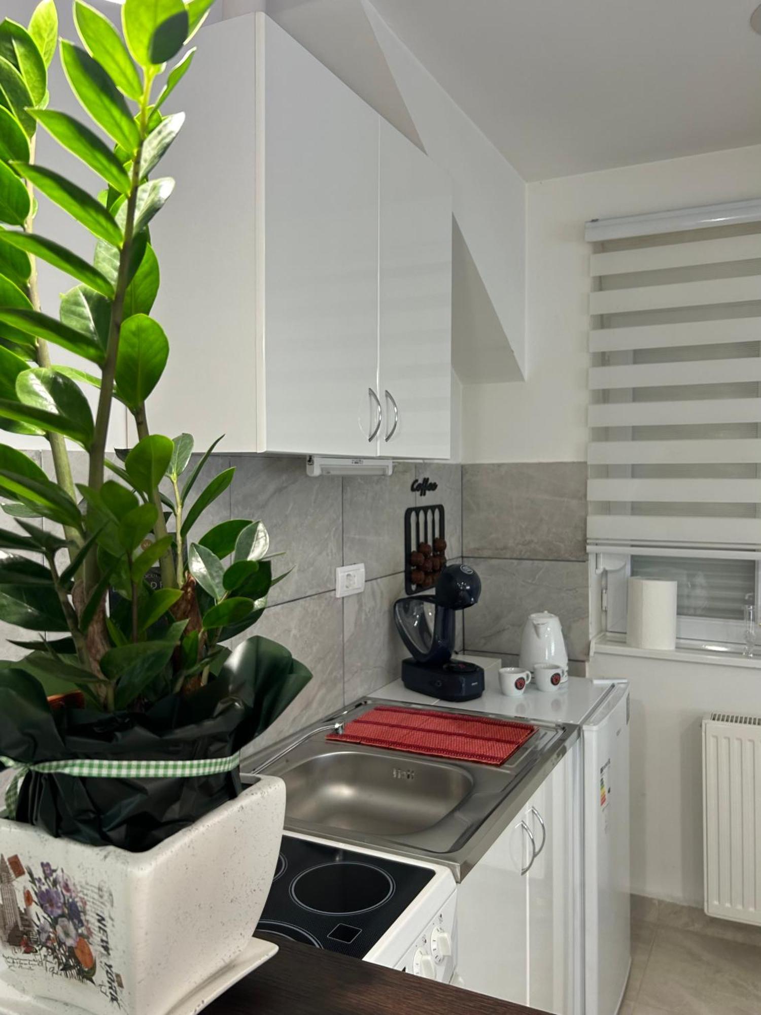 Apartman Diamond Lux Surcin Luaran gambar